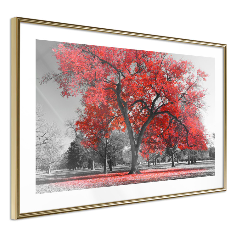 Poster Autumn in the Park (Red) - gray tree landscape with red leaves 122760 additionalImage 8