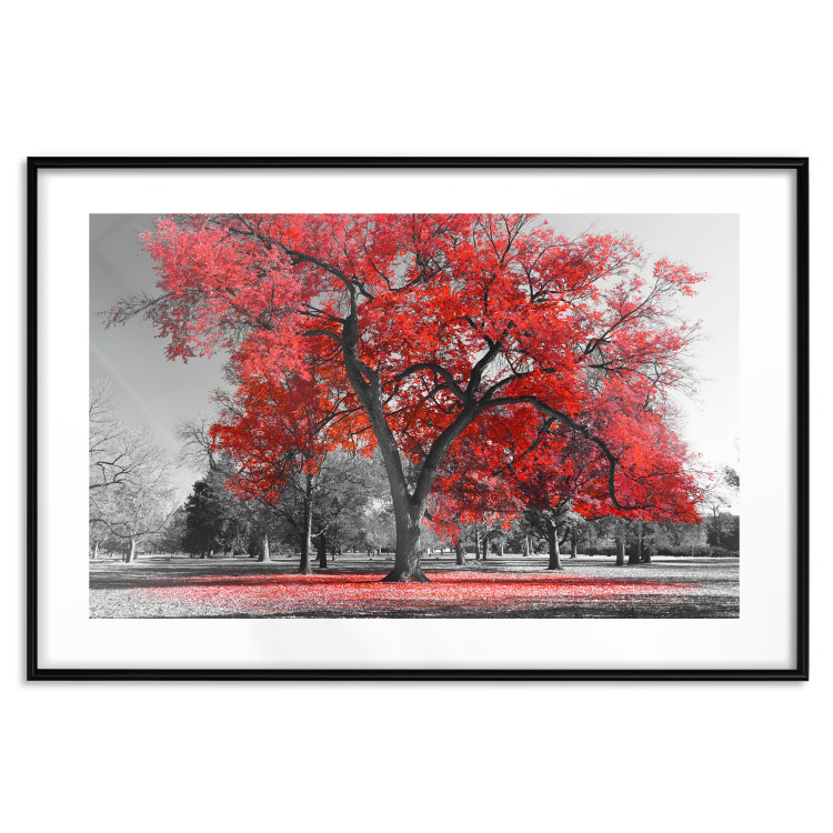 Poster Autumn in the Park (Red) - gray tree landscape with red leaves 122760 additionalImage 17