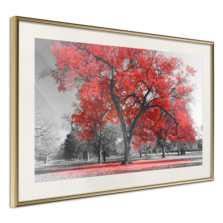 Poster Autumn in the Park (Red) - gray tree landscape with red leaves 122760 additionalImage 2