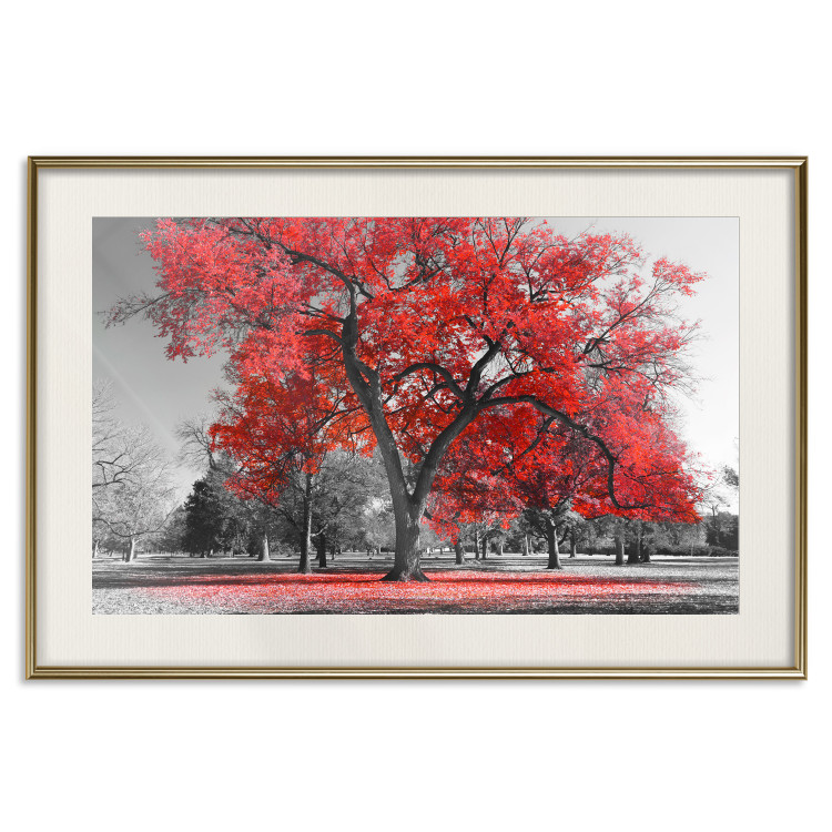 Poster Autumn in the Park (Red) - gray tree landscape with red leaves 122760 additionalImage 19