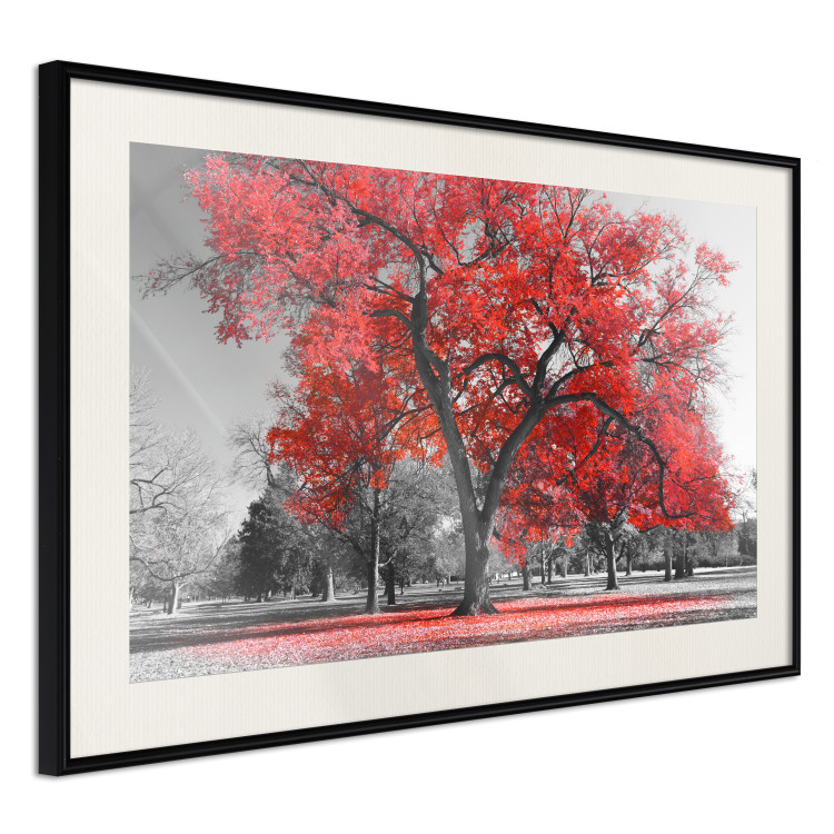 Poster Autumn in the Park (Red) - gray tree landscape with red leaves 122760 additionalImage 3