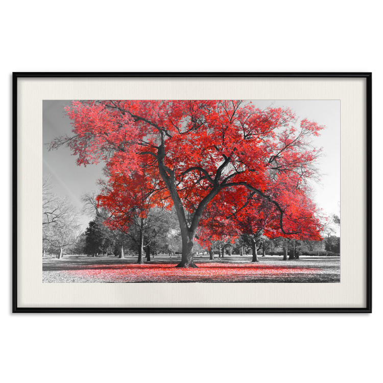 Poster Autumn in the Park (Red) - gray tree landscape with red leaves 122760 additionalImage 18