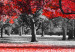 Poster Autumn in the Park (Red) - gray tree landscape with red leaves 122760 additionalThumb 10