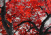 Poster Autumn in the Park (Red) - gray tree landscape with red leaves 122760 additionalThumb 11