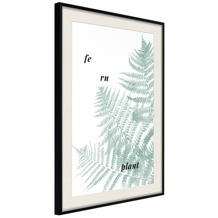 Wall Poster Fern Plant - green leaf with English text on a white background 122960 additionalImage 3