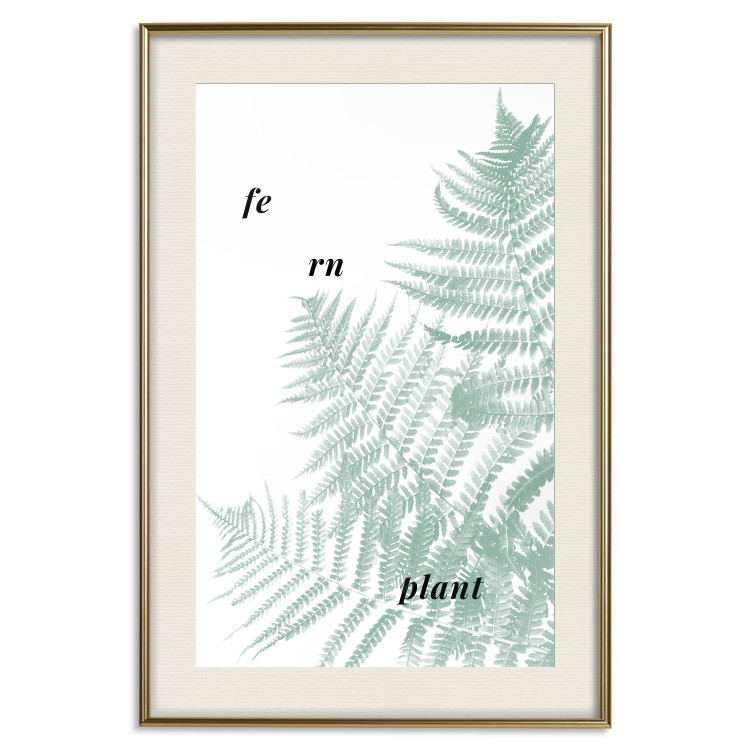 Wall Poster Fern Plant - green leaf with English text on a white background 122960 additionalImage 24