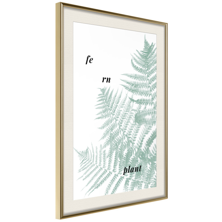 Wall Poster Fern Plant - green leaf with English text on a white background 122960 additionalImage 2