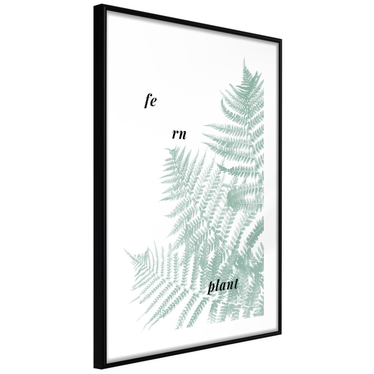 Wall Poster Fern Plant - green leaf with English text on a white background 122960 additionalImage 11