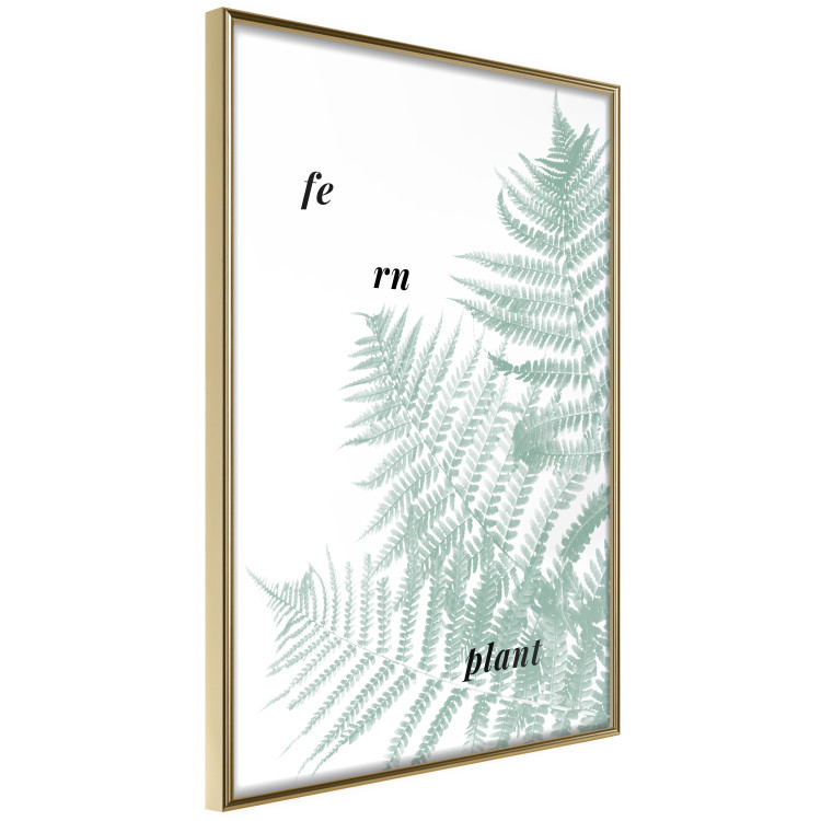 Wall Poster Fern Plant - green leaf with English text on a white background 122960 additionalImage 14