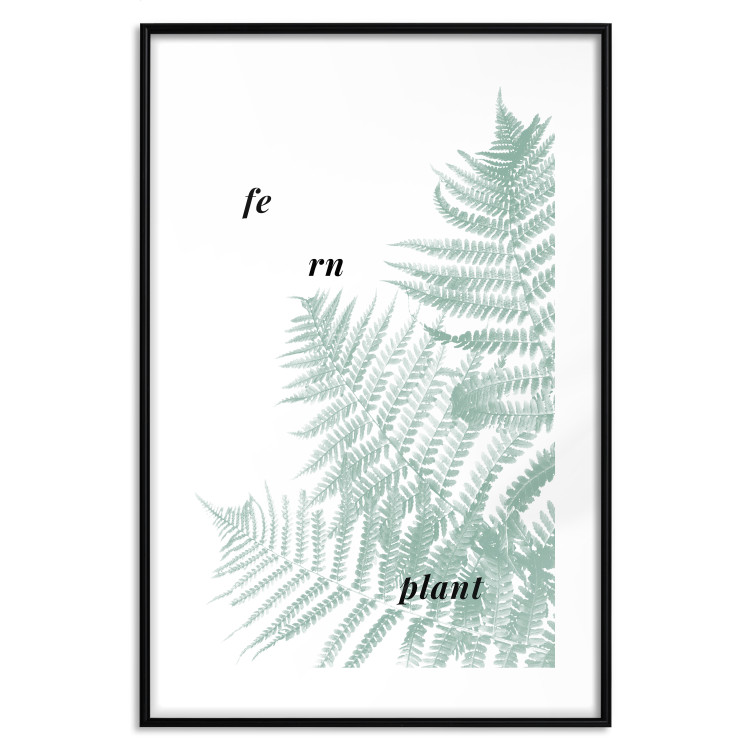 Wall Poster Fern Plant - green leaf with English text on a white background 122960 additionalImage 19