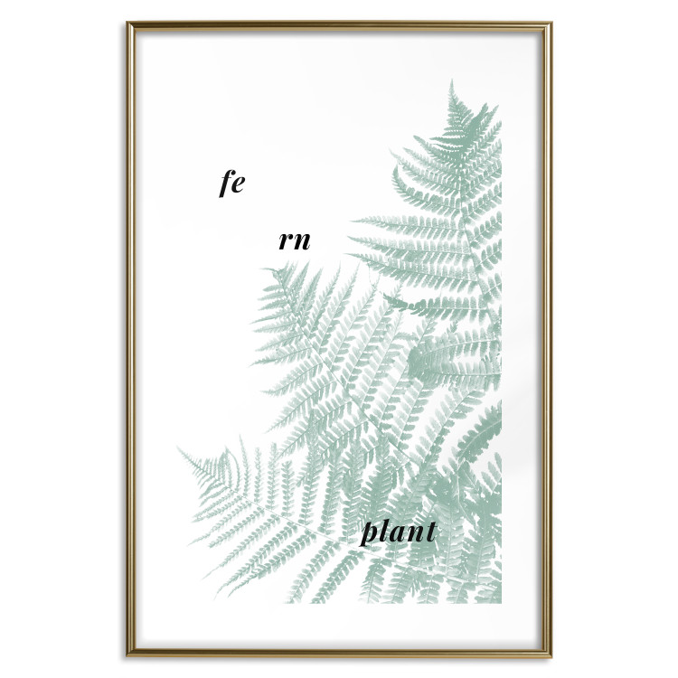 Wall Poster Fern Plant - green leaf with English text on a white background 122960 additionalImage 27
