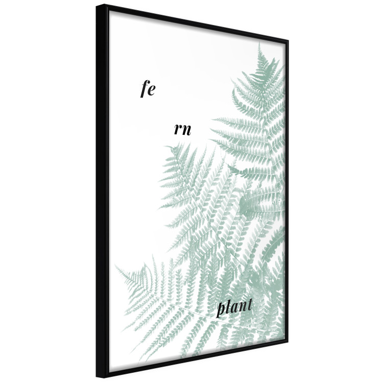 Wall Poster Fern Plant - green leaf with English text on a white background 122960 additionalImage 10