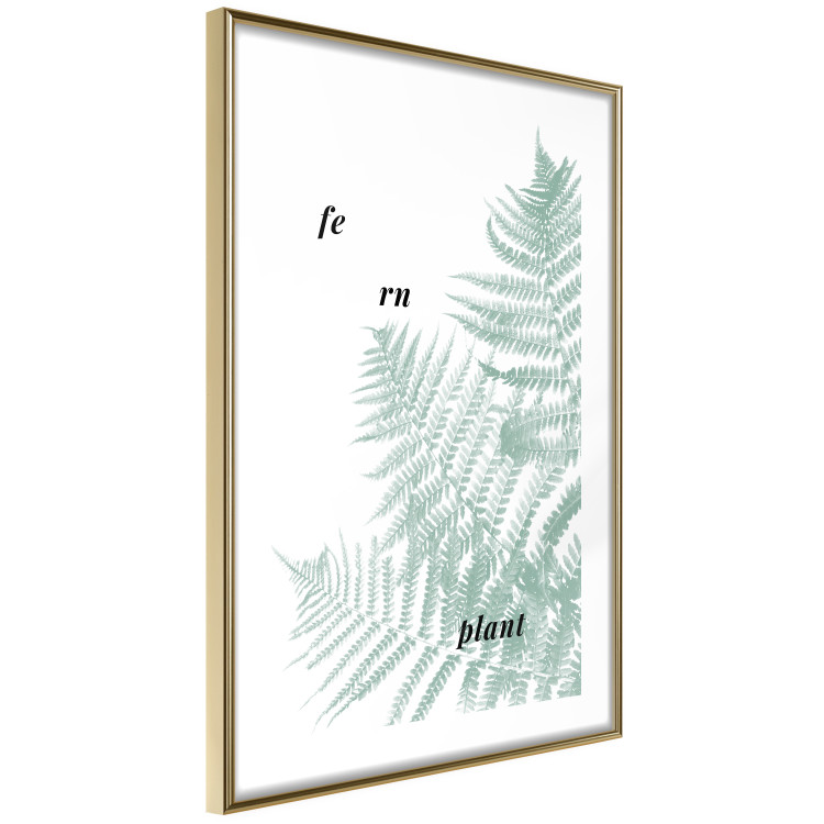 Wall Poster Fern Plant - green leaf with English text on a white background 122960 additionalImage 6