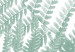 Wall Poster Fern Plant - green leaf with English text on a white background 122960 additionalThumb 10