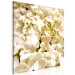 Canvas Print Spring flowers - a photograph of tiny flowers in white colour 123460 additionalThumb 2