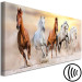 Canvas Flock of Horses (1 Part) Narrow 125160 additionalThumb 6