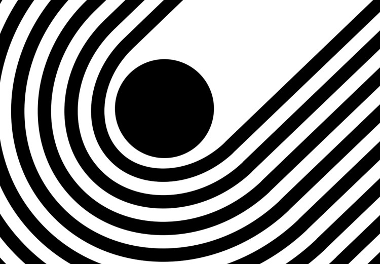 Canvas Twisted lines and circles - modern abstraction on a white background 125660 additionalImage 5