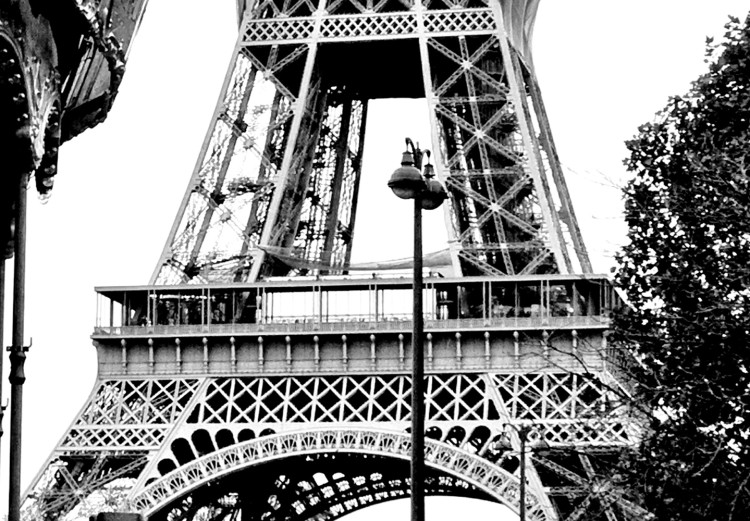 Canvas Carousel at Eiffel Tower - black-white graphic of Paris architecture 132260 additionalImage 5