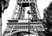 Canvas Carousel at Eiffel Tower - black-white graphic of Paris architecture 132260 additionalThumb 5