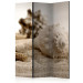 Room Separator Sand and Seashell (3-piece) - sandy beach in beige color 132860