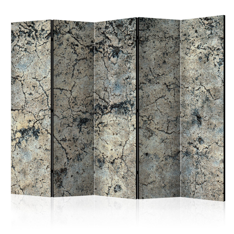 Room Separator Cracked Stone II (5-piece) - composition in shades of gray 132960