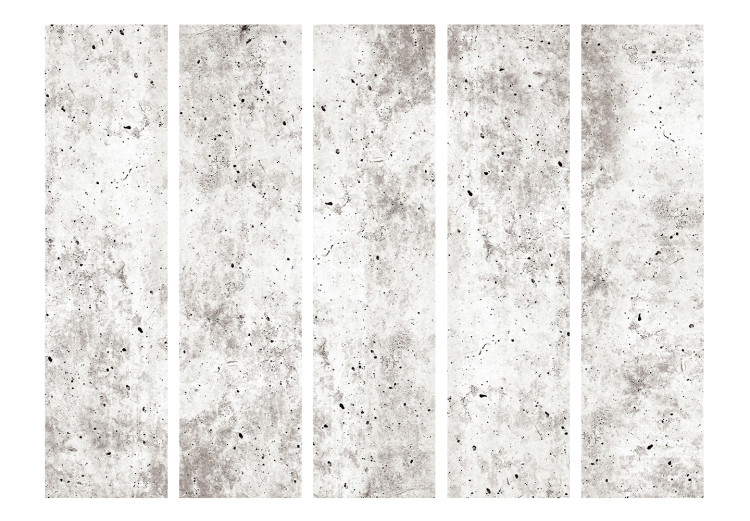 Folding Screen Urban Style: Concrete II (5-piece) - simple composition in gray background 133460 additionalImage 3