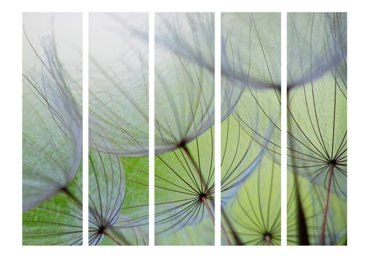 Room Divider Screen Fleeting Moments II - whimsical dandelion flowers on a light green background 133860 additionalImage 3