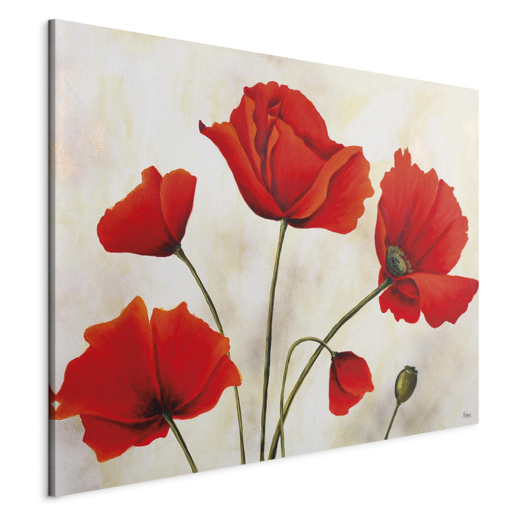 Canvas Art Print Red Poppies in a Gray Day (1-piece) - floral motif with background 47160 additionalImage 2