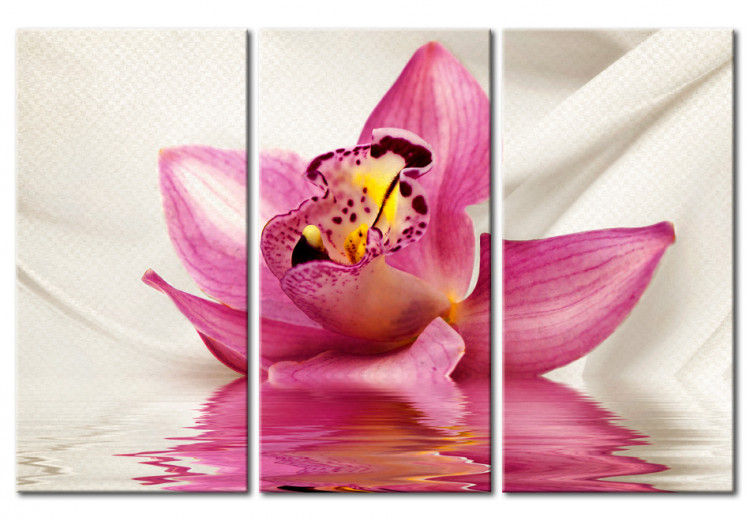Canvas Art Print Unusual orchid - triptych 50460