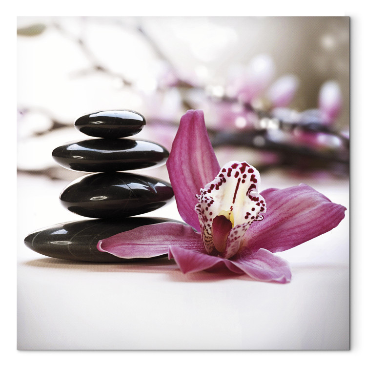 Canvas Print Beauty, spa and zen 58760