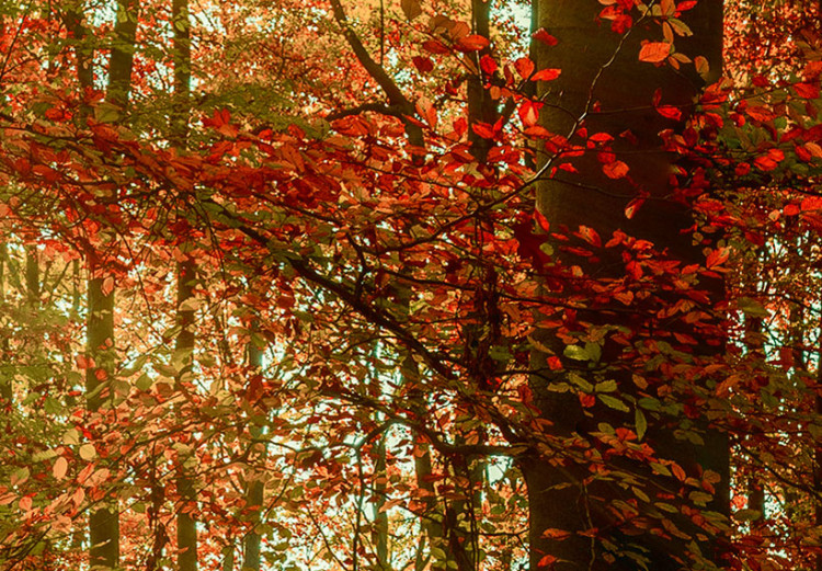 Canvas Print Autumn Wilderness 88660 additionalImage 4