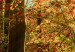 Canvas Print Autumn Wilderness 88660 additionalThumb 5