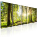 Canvas Print Green Glow (5-piece) - Sunrise Amidst Forest Nature 98560 additionalThumb 2