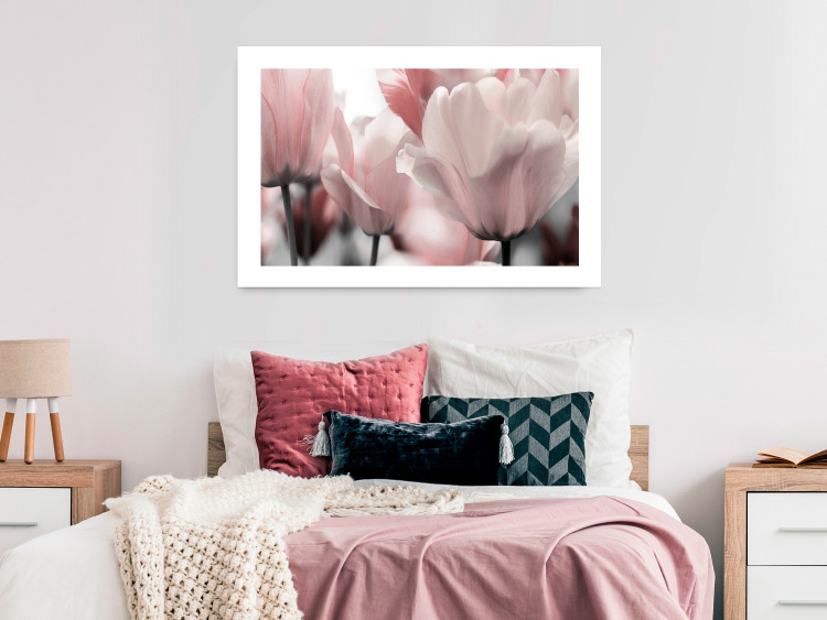 Poster Fairy Tulips - composition with spring flowers in light pink color 117170 additionalImage 2