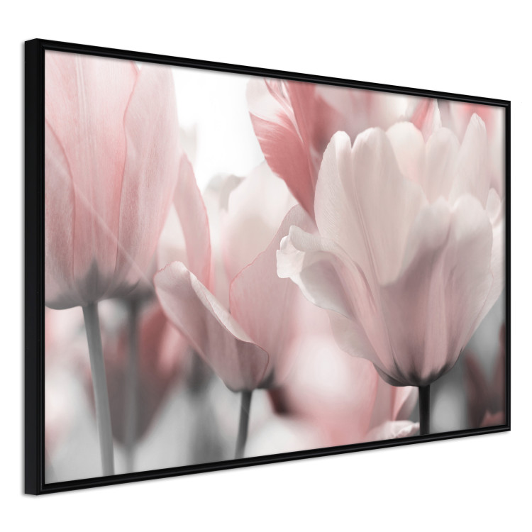 Gallery wall Tulip Dream II 124867 additionalImage 7