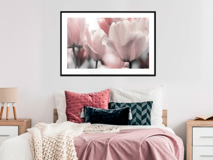Poster Fairy Tulips - composition with spring flowers in light pink color 117170 additionalImage 4