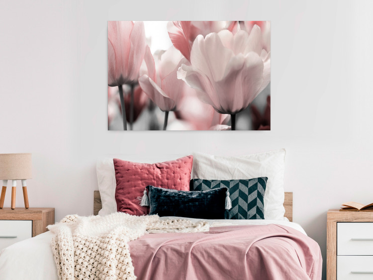 Poster Fairy Tulips - composition with spring flowers in light pink color 117170 additionalImage 14