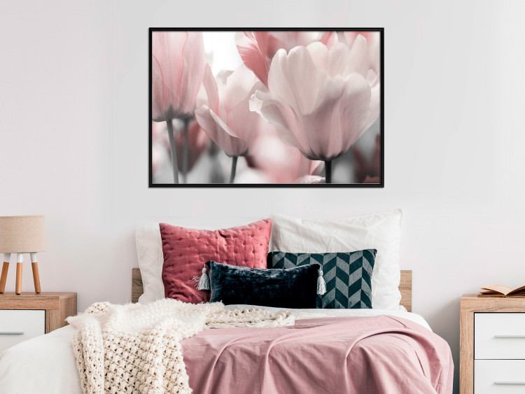 Poster Fairy Tulips - composition with spring flowers in light pink color 117170 additionalImage 3