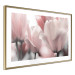 Poster Fairy Tulips - composition with spring flowers in light pink color 117170 additionalThumb 6