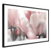 Poster Fairy Tulips - composition with spring flowers in light pink color 117170 additionalThumb 11
