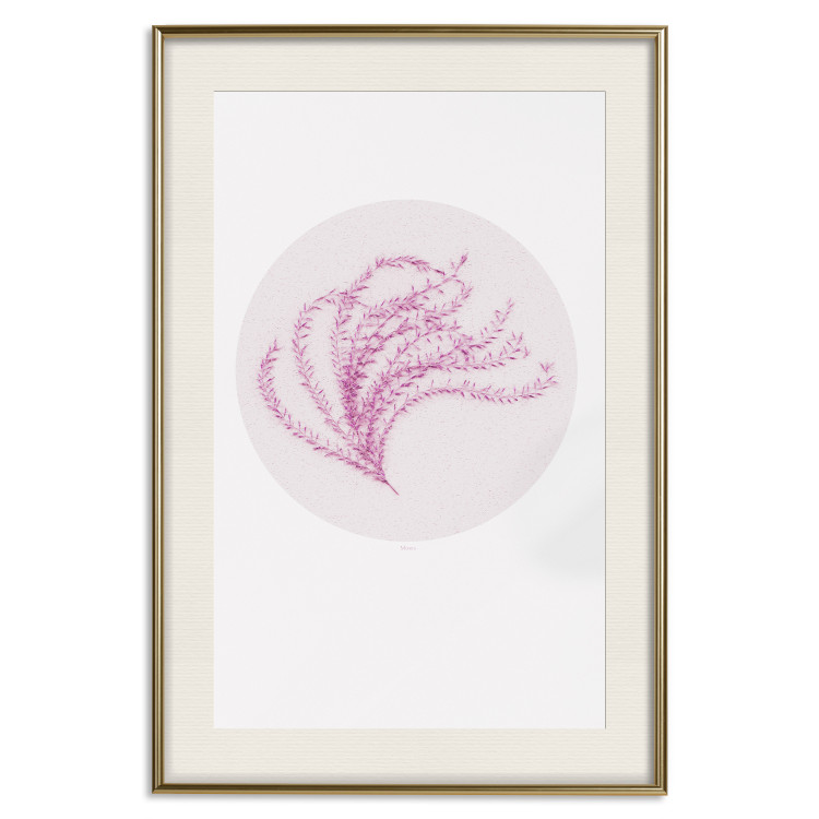 Wall Poster Finesse of Nature - composition with pink plant and a circle on a light background 117770 additionalImage 20