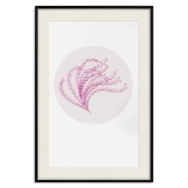 Wall Poster Finesse of Nature - composition with pink plant and a circle on a light background 117770 additionalImage 17