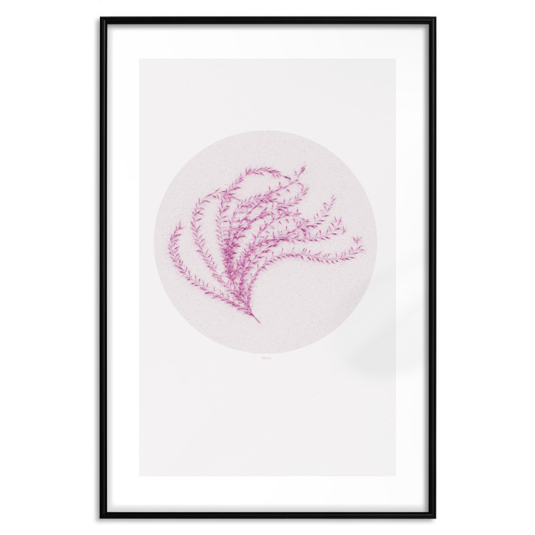 Wall Poster Finesse of Nature - composition with pink plant and a circle on a light background 117770 additionalImage 15