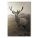 Canvas Deer in Sepia (1 Part) Vertical 119170 additionalThumb 7