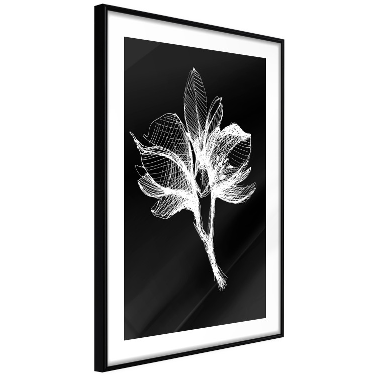 Wall Poster Night Flower - black and white composition with a delicate plant motif 119270 additionalImage 4