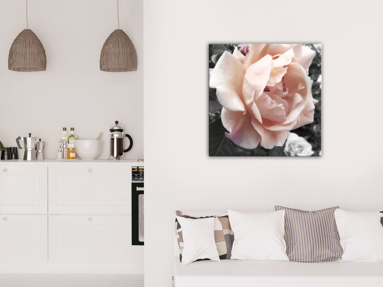 Canvas Art Print Unique Rose (1-part) - Flower of Nature in Gray Background 122670 additionalImage 3