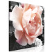 Canvas Art Print Unique Rose (1-part) - Flower of Nature in Gray Background 122670 additionalThumb 2