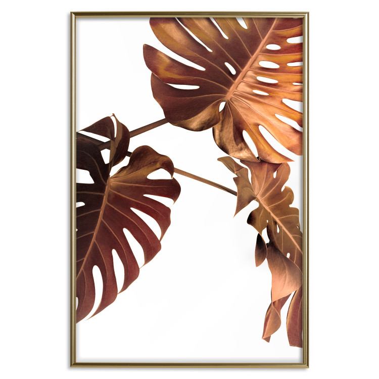 Wall Poster Golden Garden - tropical leaves in copper hue on white background 123770 additionalImage 20