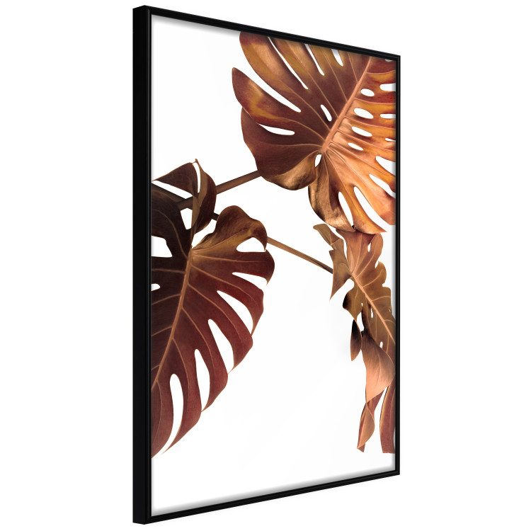 Wall Poster Golden Garden - tropical leaves in copper hue on white background 123770 additionalImage 10