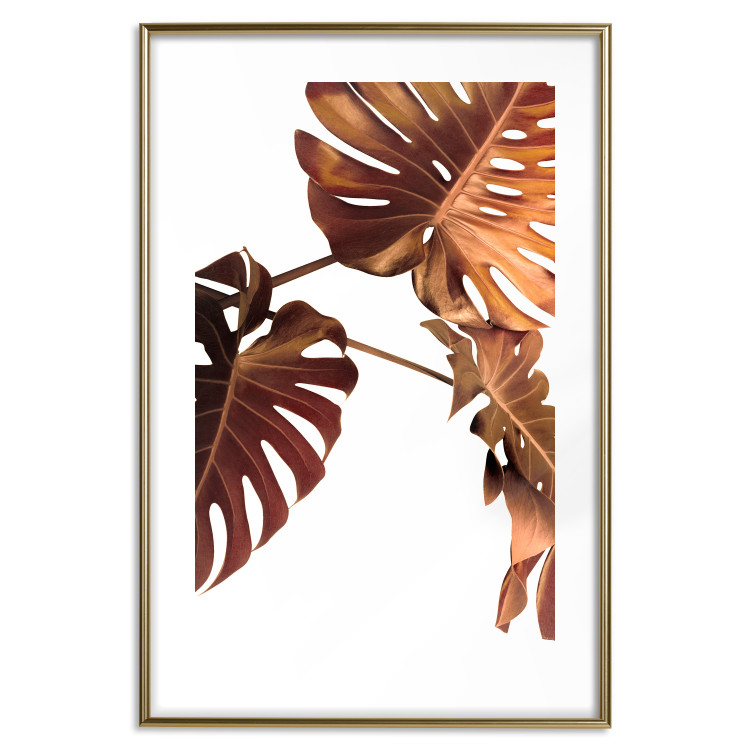 Wall Poster Golden Garden - tropical leaves in copper hue on white background 123770 additionalImage 16